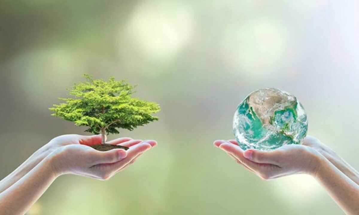 一张图拆穿所有迷雾：Web3 ESG 应用案例到底怎么把“碳信用”变清楚？