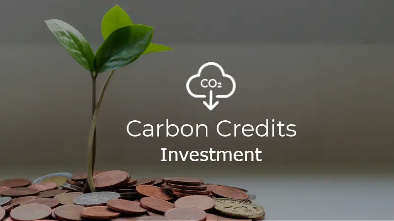 碳足迹计算工具